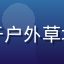 缅因猫体型巨大毛发蓬松站立于户外草地，如同迷你版山猫，威风凛凛